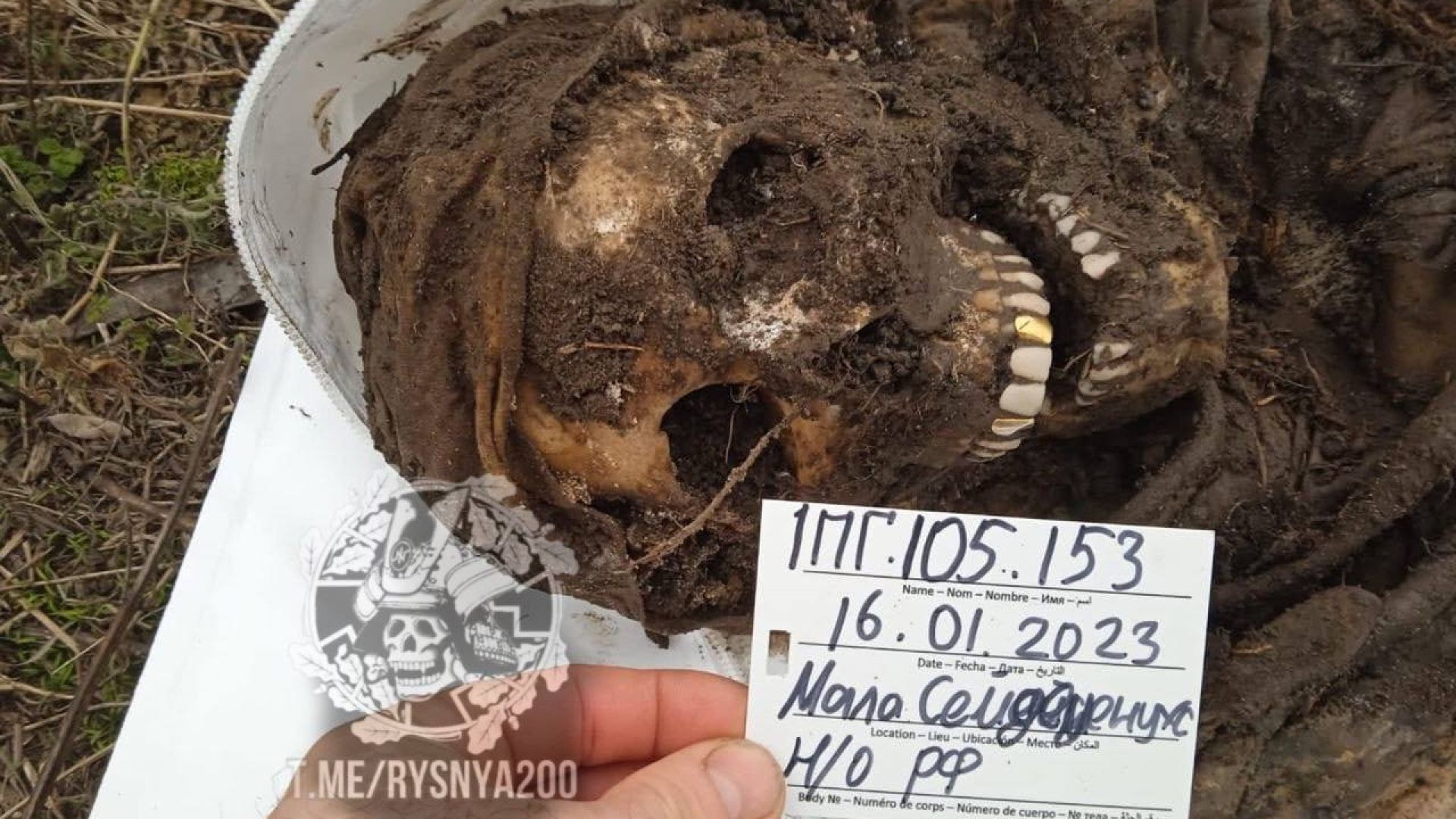 (WARNING: VERY GRAPHIC CONTENT) EXCLUSIVE: SOME OF RUSSIAN ARMY DEAD BODIES IN UKRAINE
