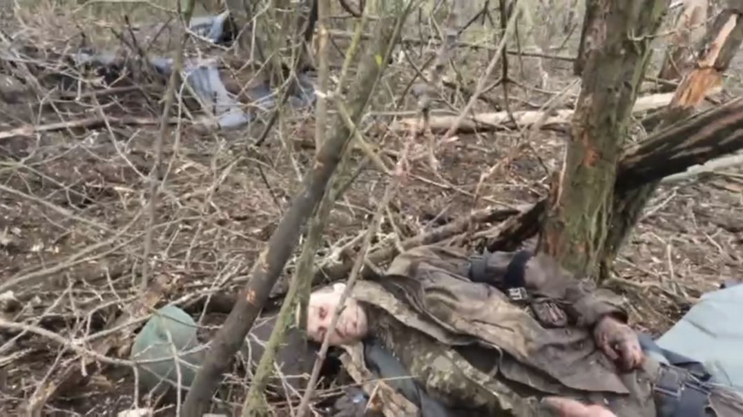 Russia Ukraine war footage
